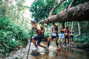 BIB: 
                            <button type="button" onclick="openModal(25369978)" class="btn btn-primary btn-sm float-right btn-popup" data-toggle="modal" data-target=".modal-high-quality">
                        <i class="fas fa-shopping-cart"></i> Add to Cart
                    </button>
                                            <button type="button" onclick="isThisMe(25369978, true)" class="btn btn-success btn-sm float-right btn-popup btn-isme hidden" data-toggle="tooltip" data-placement="bottom" title="นี่คือรูปของคุณใช่ไหม คลิกที่นี่เพื่อเอาเข้าอัลบั้ม">
                        <i class="fas fa-plus"></i> Add to album
                    </button>
                    <button type="button" onclick="isThisMe(25369978, false)" class="btn btn-warning btn-sm float-right btn-popup btn-isnotme hidden">
                        <i class="fas fa-ban"></i> Remove from album
                    </button>